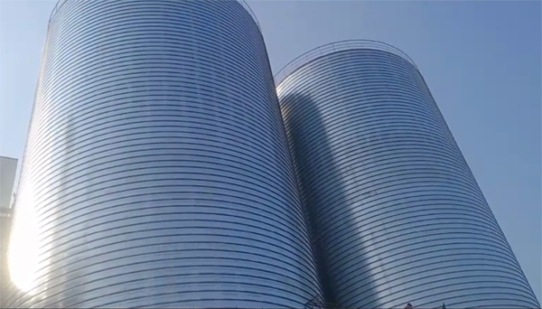 紫云2座混凝土高架卷板仓